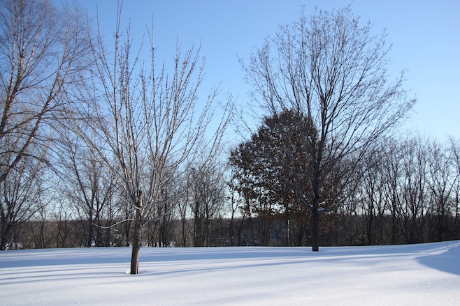 Winter Snow